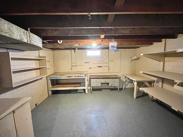 421 Van Dusen St, Springfield, MN 56087 - basement featuring a workshop area