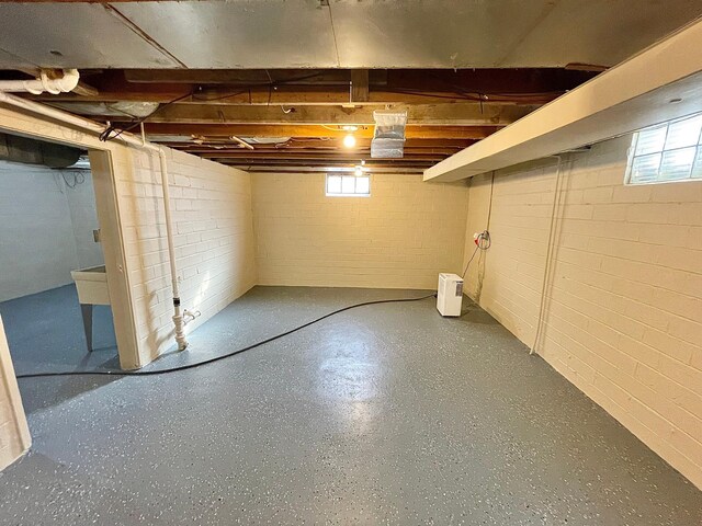 421 Van Dusen St, Springfield, MN 56087 - basement with concrete block wall