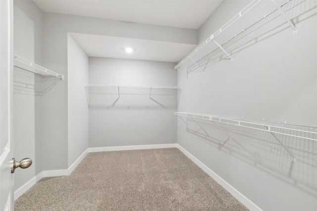 walk in closet with carpet