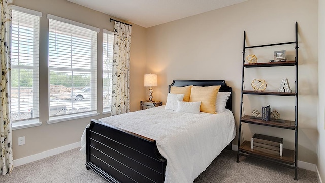 bedroom with baseboards and carpet floors