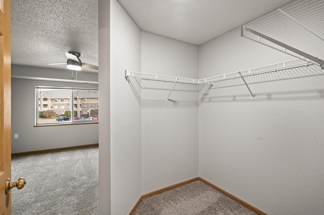 walk in closet with carpet and a ceiling fan