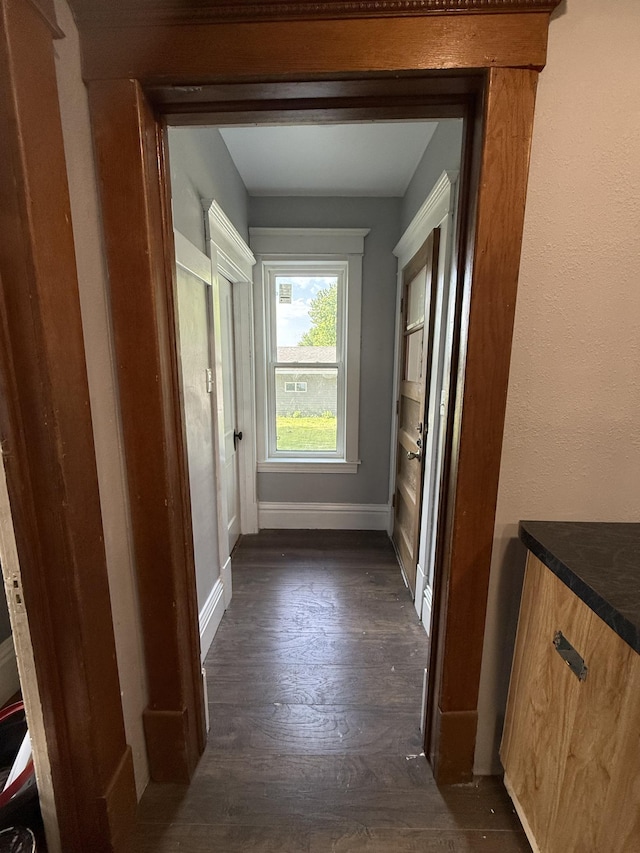 902 Pacific Ave, Kerkhoven, MN 56252 - hall with dark wood-type flooring and baseboards