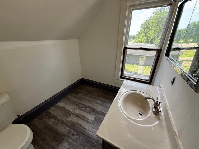 902 Pacific Ave, Kerkhoven, MN 56252 - bathroom with vanity, wood finished floors, healthy amount of natural light, and lofted ceiling