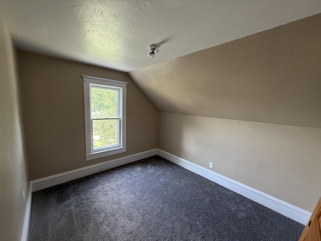 902 Pacific Ave, Kerkhoven, MN 56252 - bonus room featuring dark colored carpet and vaulted ceiling