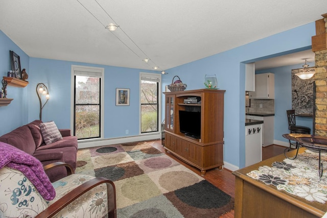 living room featuring a baseboard radiator, baseboards, and wood finished floors