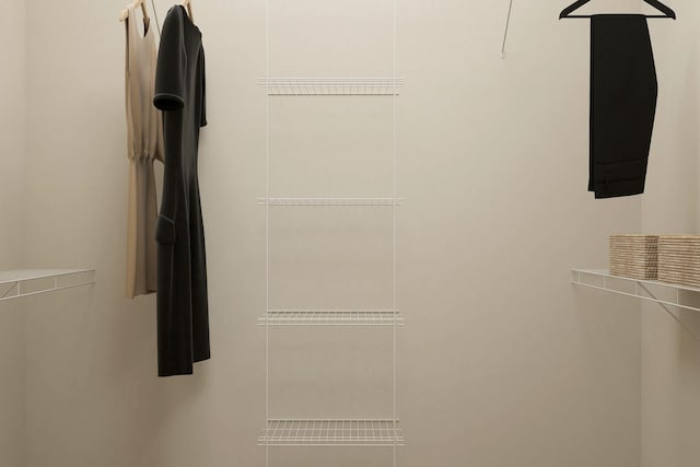 view of walk in closet