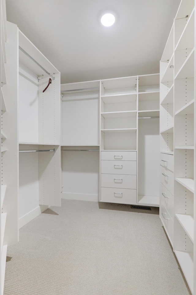 spacious closet with carpet