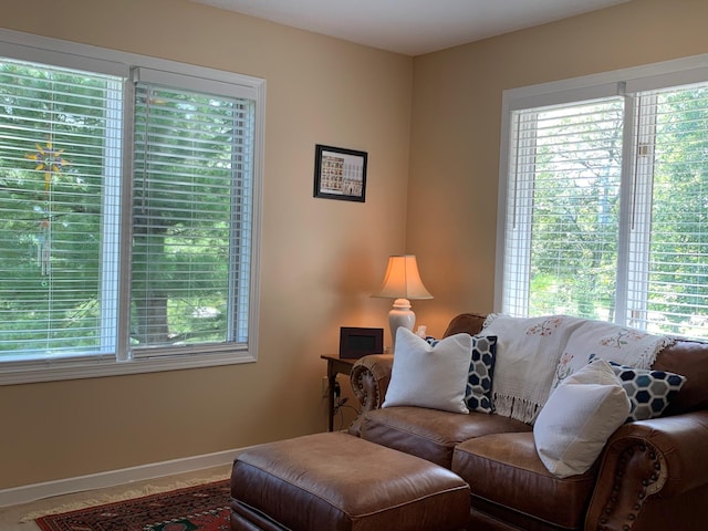 living area featuring baseboards