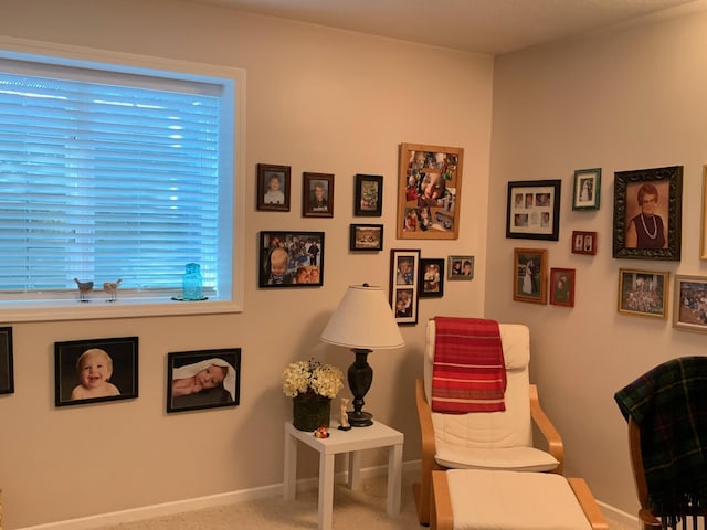 living area with carpet and baseboards