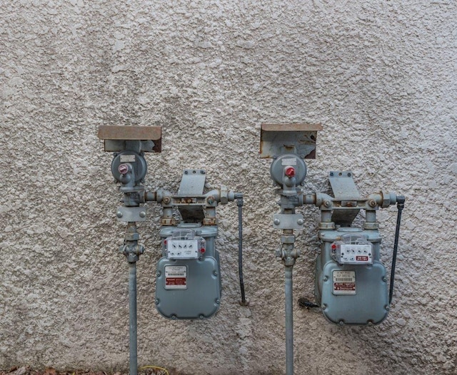 exterior details with gas meter