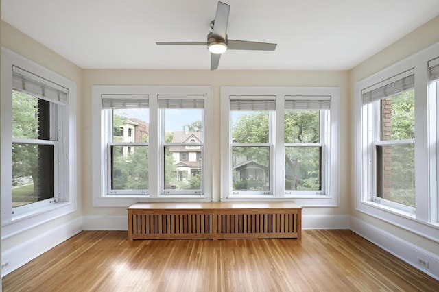 2606 Humboldt Ave S Unit 6, Minneapolis, MN 55408 - unfurnished sunroom featuring radiator heating unit and plenty of natural light