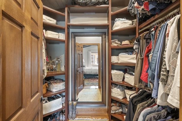 view of spacious closet