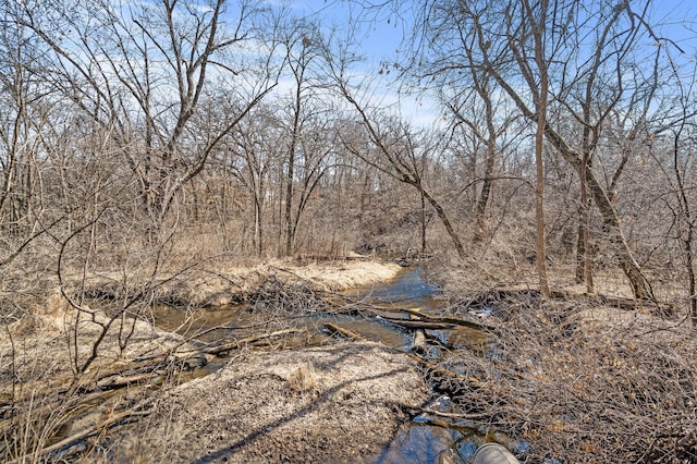 view of nature