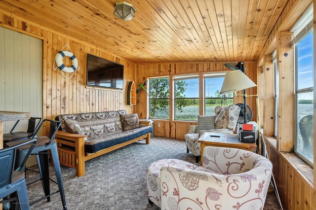 13560 Island Lake Rd W, Island Lake Twp, MN 56651 - photo 11