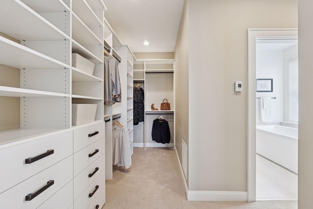 38 Mississippi River Blvd N, Saint Paul, MN 55104 - walk in closet featuring light carpet