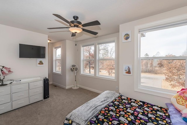 16839 Piper Ln, Brainerd, MN 56401 - photo 31