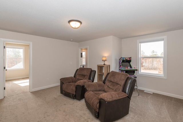 16839 Piper Ln, Brainerd, MN 56401 - photo 33