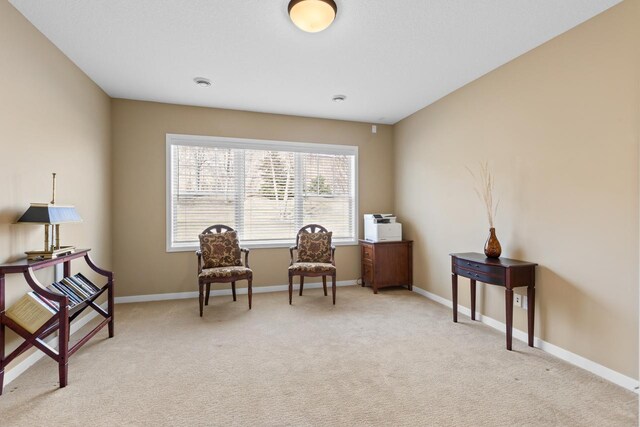 30 Riley Curv, Chanhassen, MN 55317 - photo 32