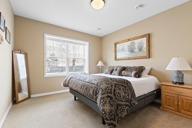 30 Riley Curv, Chanhassen, MN 55317 - photo 34