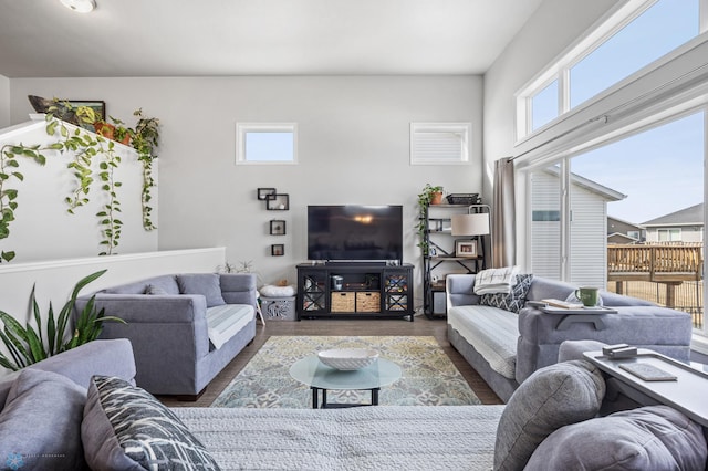 living room featuring wood finished floors