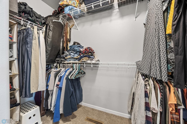 walk in closet with visible vents and carpet floors