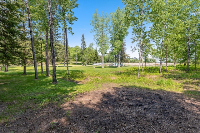 37016 Delta Bay Rd, Jenkins Twp, MN 56474