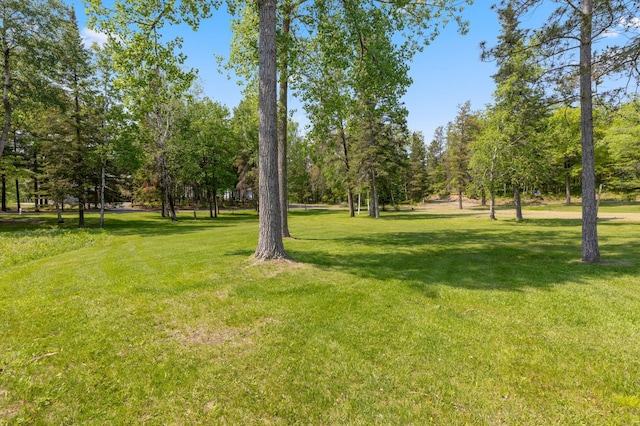 37016 Delta Bay Rd, Jenkins Twp, MN 56474