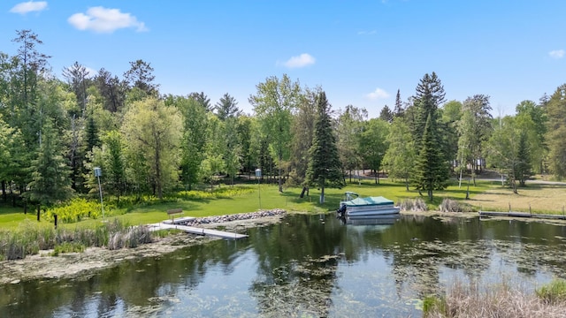 37016 Delta Bay Rd, Jenkins Twp, MN 56474