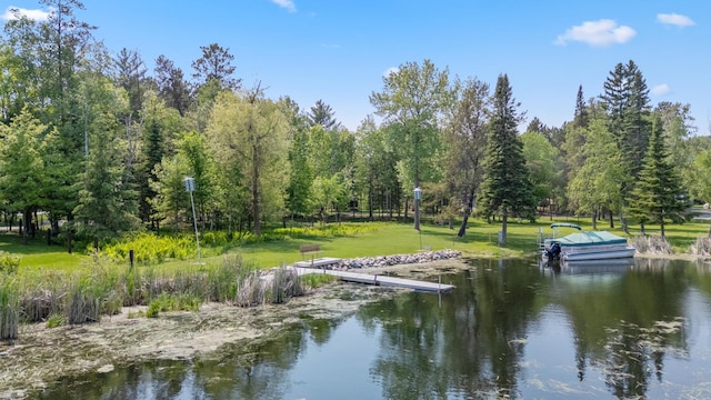 37016 Delta Bay Rd, Jenkins Twp, MN 56474