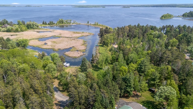 37016 Delta Bay Rd, Jenkins Twp, MN 56474