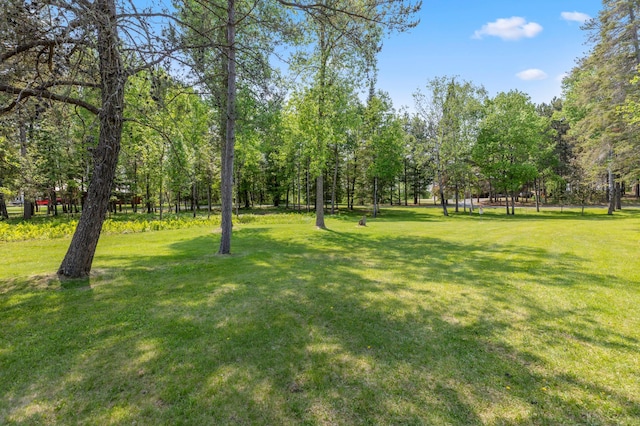 37016 Delta Bay Rd, Jenkins Twp, MN 56474