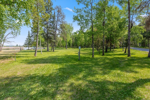 37016 Delta Bay Rd, Jenkins Twp, MN 56474