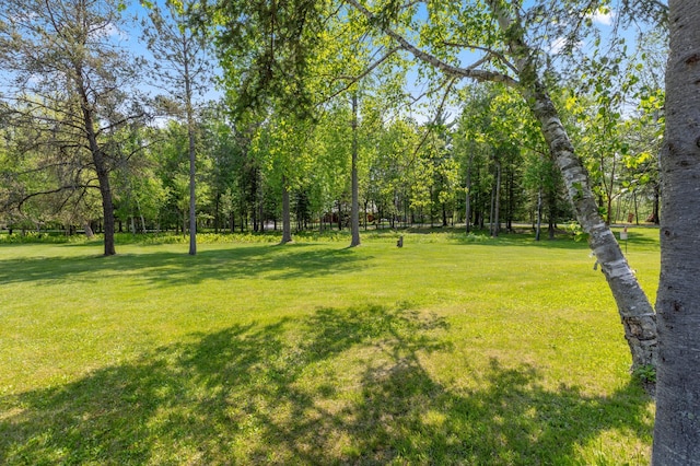 37016 Delta Bay Rd, Jenkins Twp, MN 56474