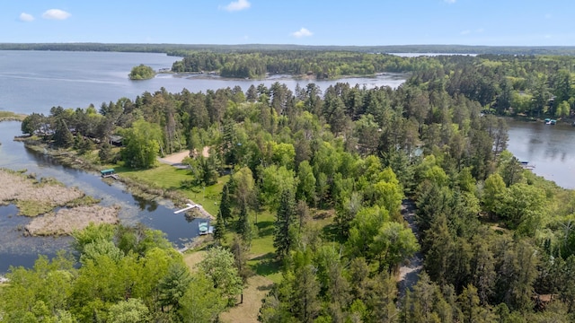 37016 Delta Bay Rd, Jenkins Twp, MN 56474