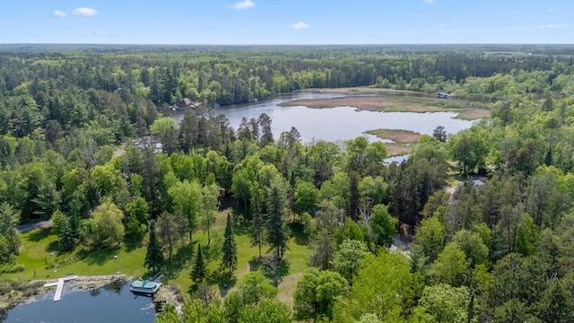 37016 Delta Bay Rd, Jenkins Twp, MN 56474