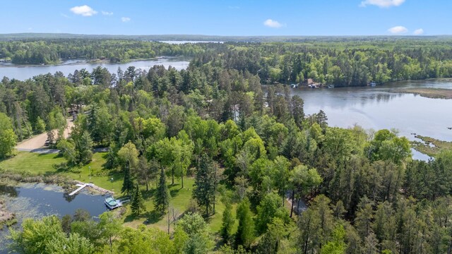 37016 Delta Bay Rd, Jenkins Twp, MN 56474