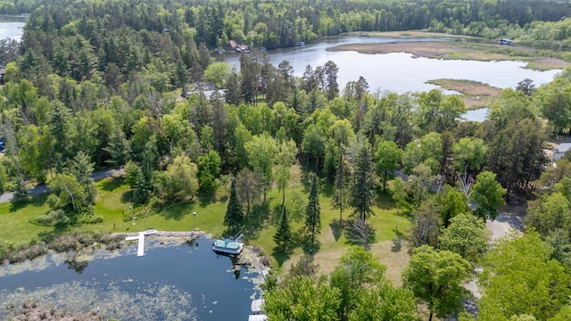 37016 Delta Bay Rd, Jenkins Twp, MN 56474