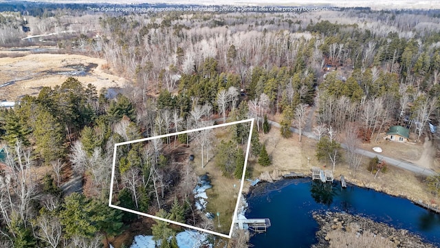 37016 Delta Bay Rd, Jenkins Twp, MN 56474