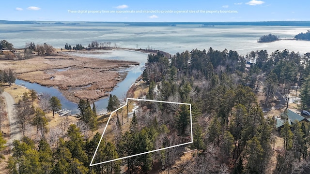 37016 Delta Bay Rd, Jenkins Twp, MN 56474