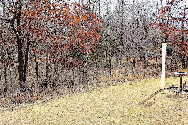 12170 Hillcrest Ct SE, Becker, MN 55308 - view of yard