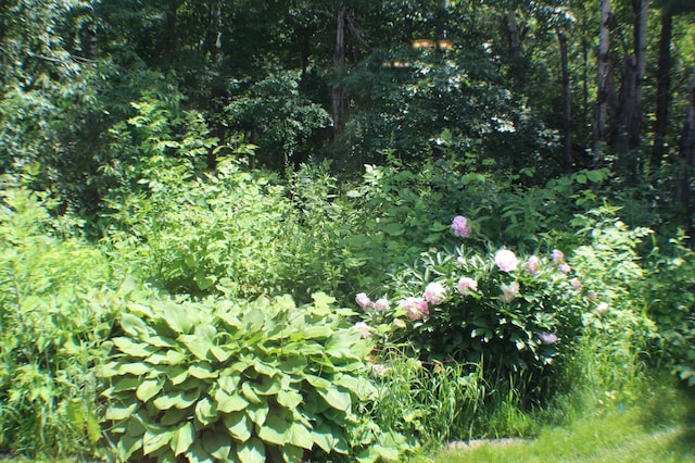 12170 Hillcrest Ct SE, Becker, MN 55308 - view of nature