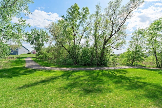 6627 133rd St, Savage, MN 55378 - view of green lawn