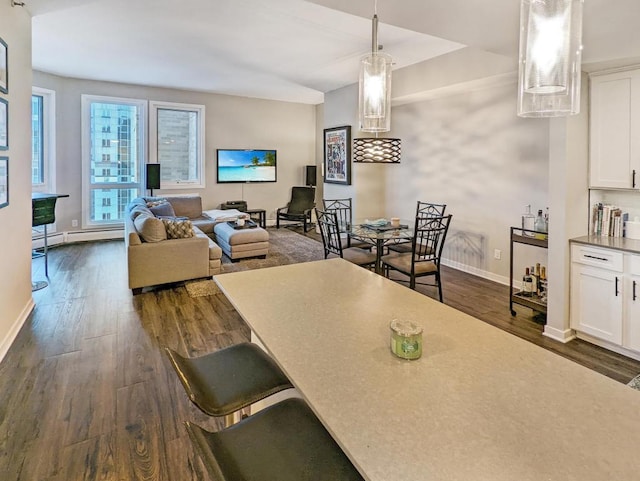 dining area with baseboards, dark wood-style flooring, and baseboard heating