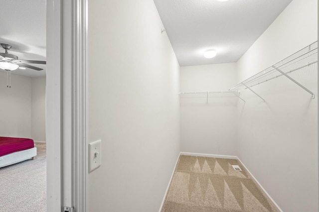 walk in closet with carpet and ceiling fan