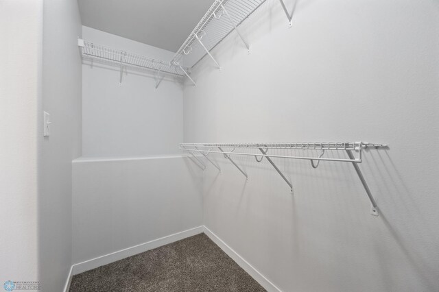 walk in closet featuring dark colored carpet