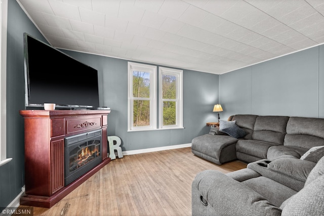 5664 County Road 7 SW, Howard Lake, MN 55349 - living area featuring wood finished floors, baseboards, and a glass covered fireplace