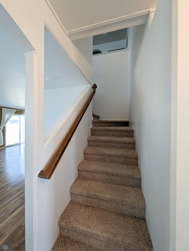 stairs featuring wood finished floors