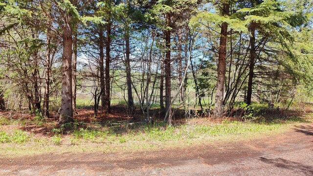 80086 Gruban Cir, Greenwood Twp, MN 55790