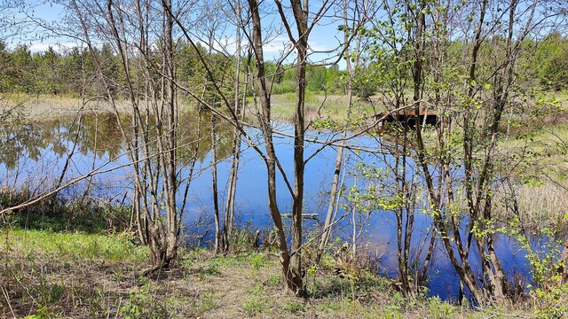 80086 Gruban Cir, Greenwood Twp, MN 55790