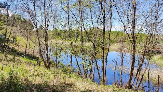 80086 Gruban Cir, Greenwood Twp, MN 55790
